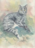 by Rhonda Shereck