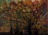 by Irena  Dukule