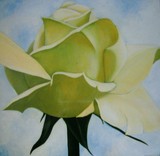 by Nelly van Nieuwenhuijzen