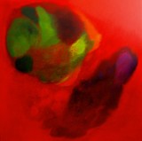 by Nelly van Nieuwenhuijzen