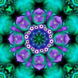 by Orchid Mandala