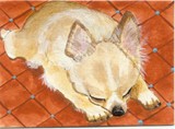 by Sherry Melberg