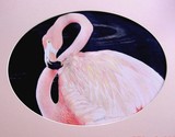 by sandy lippitt