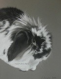 by Joanne Simpson-Connor