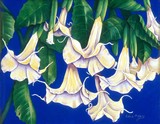 by Edna Mabry
