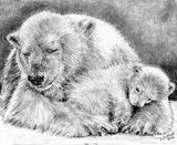 by Deborah L. Duffield