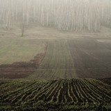 by Nikolay Semyonov