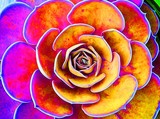 by Meg Murray