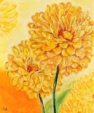 by Liz Robinson