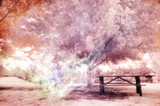by Ho Tik