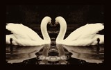 by Andrew David Photography