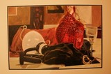 by Luis Campos