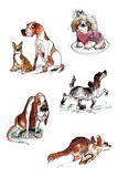 by Caroline Metcalfe