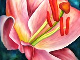 by Rebecca Langlois
