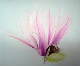 by Rebecca Langlois
