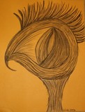 by Bindu 