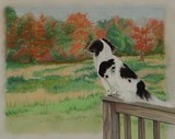 by Lisa Bell