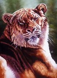 by Barbara Keith