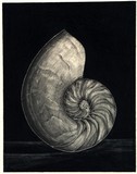 by Andrew Gott