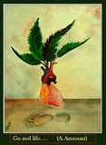 by announi abdelali