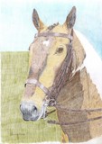by Charlotte Cornish