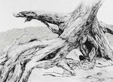 by Dell Belew