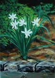 by Heather Leigh Douglas