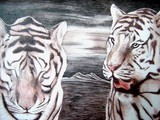 by reza goli