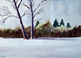 by robert minchin