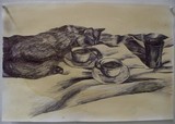 by Kellie Hogben