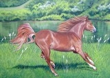 by diane deason