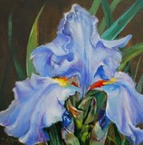 by Joke Klootwijk