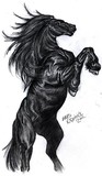 by Alexia Kilpatrick