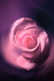 by Sharon Simmons