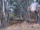 by Bernice Komaroff