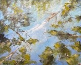 by Melissa Kucin