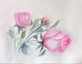 by Wendy Cook