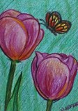 by Jennifer Jeffris