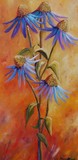 by Shelley Ohlgren