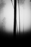 by Jakub Zetik