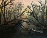 by Nick Aumiller