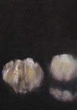 by Monique schumacher