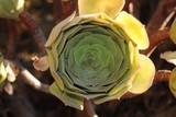 by Debra Kott
