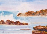 by Dianne Nungesser