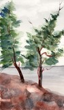 by Kimberly Fedoruk