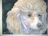 by patricia pushaw