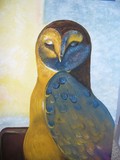by raza mirza