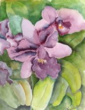 by Angelina Whittaker Cook