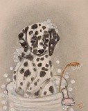 by Joanie Holliday
