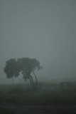 by vaivhav todi